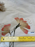 Exquisite Quality Silk Shantung Floral Embroidery  - IVORY/PEACH/GREENS!!!