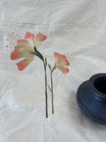 Exquisite Quality Silk Shantung Floral Embroidery  - IVORY/PEACH/GREENS!!!